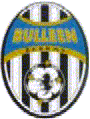 Bulleen Zebras Club Logo